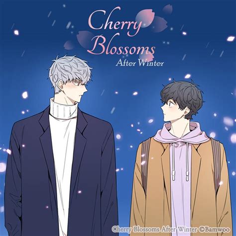 Cherry Blossoms After Winter Episode 1 Explain in Hindi Korean Bl Series Hindi Explanation. . Cherry blossoms after winter